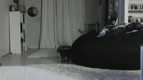 Crystal Lake online show from 01-05-25, 05:20