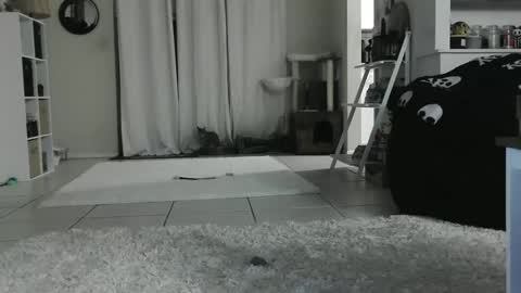 Crystal Lake online show from 01-12-25, 09:08