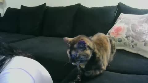 Crystal Lake online show from 10-15-25, 06:35