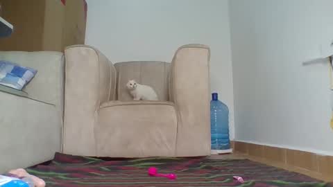 Barbie online show from 10-04-25, 12:47