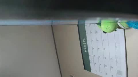 Snapshot of x_man2026 chatting on 03-18-26, 02:37 x_man2026 online show from 03-18-26, 02:37