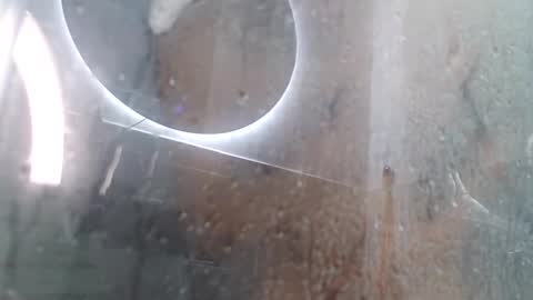 Snapshot of xandressex chatting on 02-03-25, 11:42 Andres online show from 02-03-25, 11:42