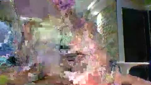 Snapshot of xavii31 chatting on 03-11-26, 01:44 xavii31 online show from 03-11-26, 01:44