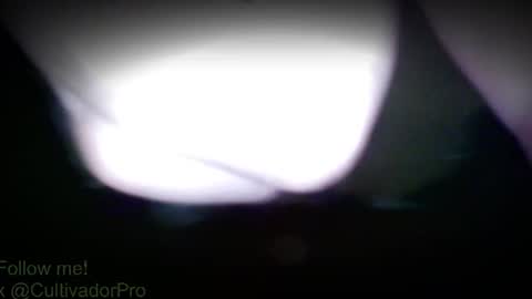 Snapshot of xbalam chatting on 07-28-26, 03:21 Mr Balax online show from 07-28-26, 03:21