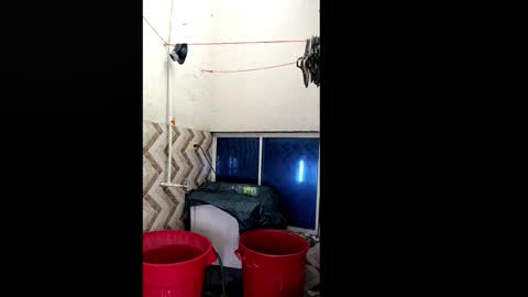 Snapshot of xilongbaby29 chatting on 10-18-25, 01:56 xilongbaby29 online show from 10-18-25, 01:56