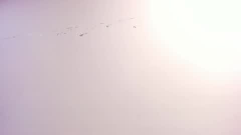 Xime  online show from 10-22-25, 03:07