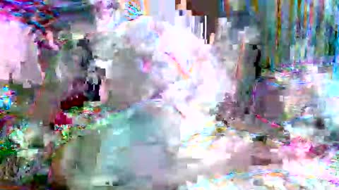 Snapshot of xixo6969 chatting on 02-20-26, 05:15 xixo6969 online show from 02-20-26, 05:15