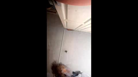 Snapshot of xlwi77 chatting on 05-31-26, 10:22 xlwi77 online show from 05-31-26, 10:22