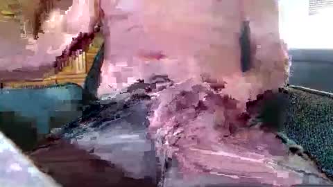 Snapshot of xmen43hot chatting on 09-18-25, 08:49 xmen43hot online show from 09-18-25, 08:49