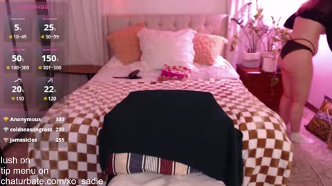 Snapshot of xo_sadie chatting on 01-31-25, 08:32 Xo Sadie online show from 01-31-25, 08:32