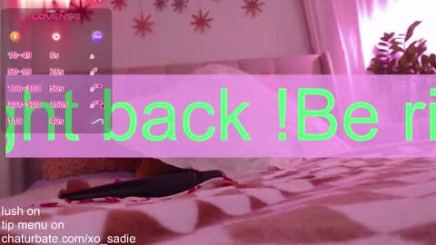 Snapshot of xo_sadie chatting on 02-02-26, 06:01 Xo Sadie online show from 02-02-26, 06:01