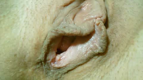 Snapshot of xollan chatting on 01-31-25, 12:50 Lost in Lust online show from 01-31-25, 12:50