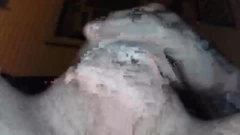 xoxossdfm8894982459 online show from 12-20-25, 03:46