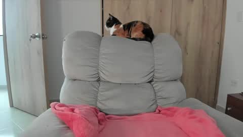 Snapshot of xspecialroomx chatting on 05-09-26, 07:41 Hellen Sofia instagram hellen5546 online show from 05-09-26, 07:41