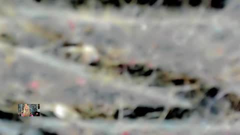 Snapshot of xthesexyboyx chatting on 02-16-25, 04:53 Femboy Exotic online show from 02-16-25, 04:53