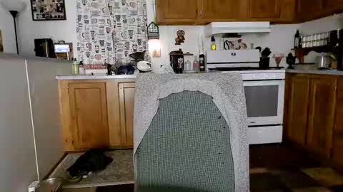 Snapshot of xxdana chatting on 02-05-25, 12:53 Deezy online show from 02-05-25, 12:53