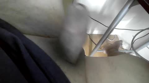 xxenryxx92 online show from 06-15-26, 04:20