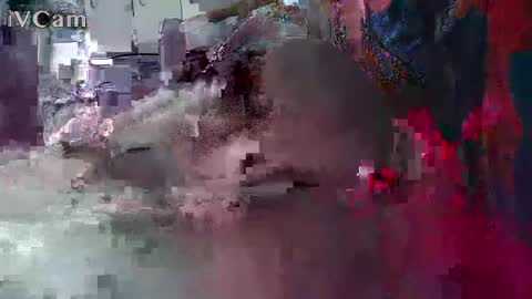 xxilikeassxx online show from 02-13-26, 10:33