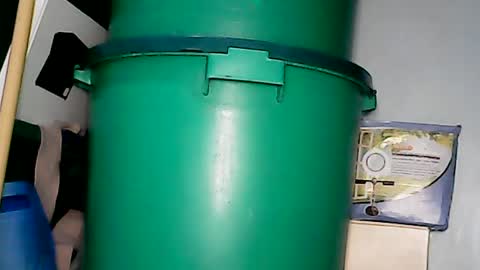 preggy online show from 07-17-26, 03:35