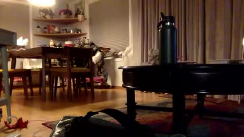 Snapshot of xxtina69x chatting on 12-02-24, 03:37 yayalala online show from 12-02-24, 03:37