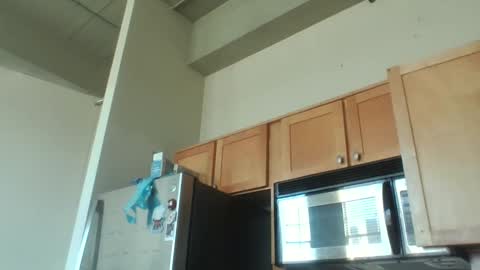 Danielle online show from 12-03-25, 08:29