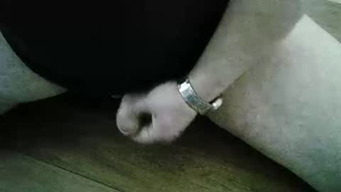 xyjjmop online show from 03-02-26, 06:47