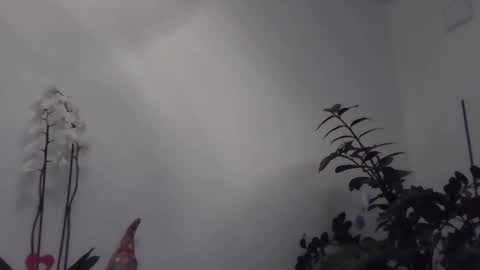 yakijoe online show from 03-22-26, 10:57