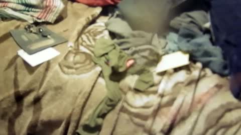 yangolox3 online show from 03-17-26, 02:31