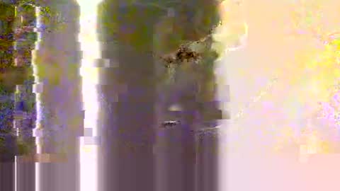Snapshot of yangolox3 chatting on 05-12-26, 02:30 yangolox3 online show from 05-12-26, 02:30