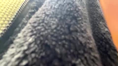 Snapshot of yasarsimo99154258 chatting on 04-07-26, 10:59 yasarsimo99154258 online show from 04-07-26, 10:59