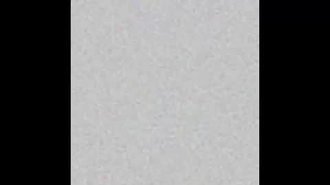 .     y e l l o w s n a k e s       . online show from 10-23-25, 05:33