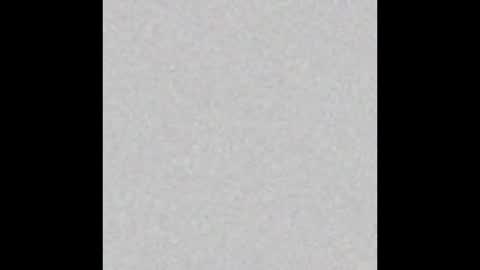 .     y e l l o w s n a k e s       . online show from 11-30-25, 06:12