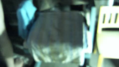 .     y e l l o w s n a k e s       . online show from 02-19-26, 05:14