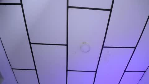 YEM online show from 12-18-24, 09:29