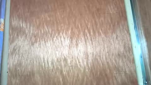 yhang_slut online show from 11-30-25, 07:34