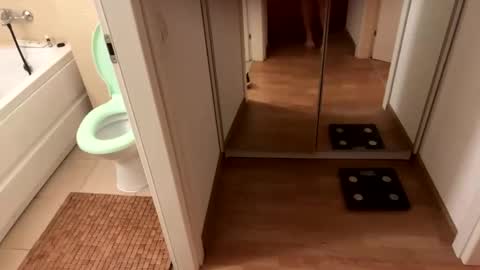 Snapshot of yonise909383 chatting on 02-03-25, 12:36 yonise909383 online show from 02-03-25, 12:36