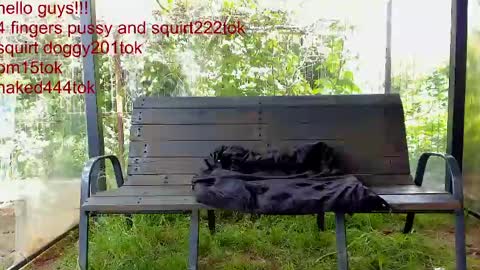 private on 18 per minute start private 500 tokensOnlyfans  online show from 05-10-26, 09:47