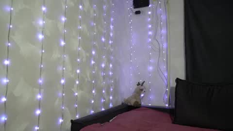 Meri  online show from 02-20-26, 09:15