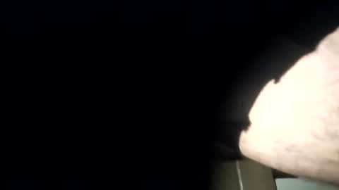 yourexpirementmale online show from 07-26-26, 08:49