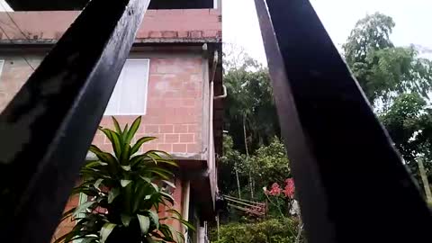 yourgodzeus online show from 03-03-25, 11:33