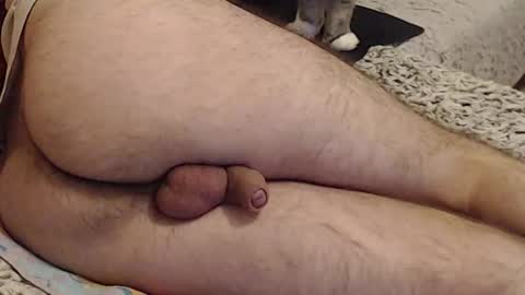 Yowlo online show from 09-22-25, 03:30