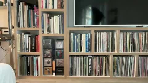 yumiandwolf online show from 03-05-25, 11:16