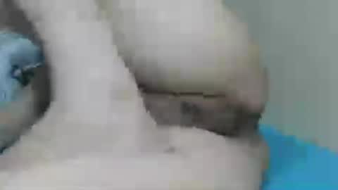 yummy72747 online show from 07-14-26, 10:32