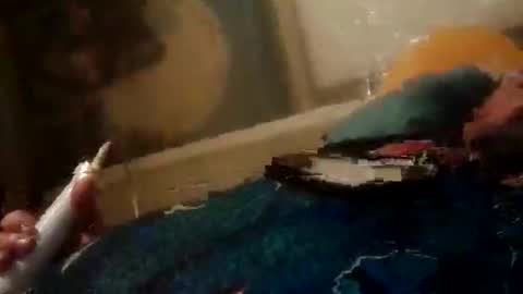 Z0RL0C online show from 06-02-26, 06:37