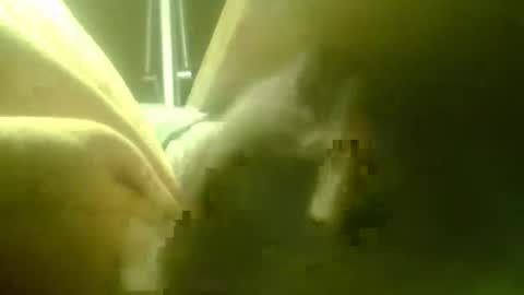 zaboski4 online show from 03-18-26, 07:44