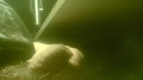 zaboski4 online show from 04-27-26, 07:28