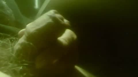 zaboski4 online show from 04-29-26, 07:23