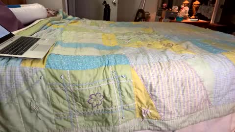 Aiden online show from 01-06-25, 03:20