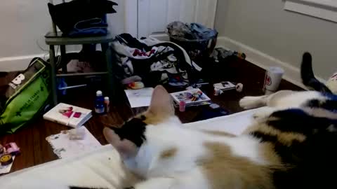 zaddyslilslutbucket online show from 12-16-25, 10:04