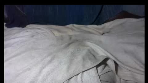 Snapshot of zakilandi chatting on 11-30-25, 01:48 pollasucia13 online show from 11-30-25, 01:48